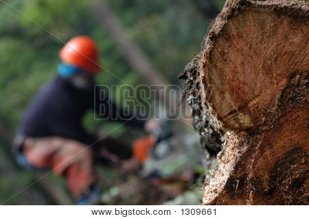 Logging Operations