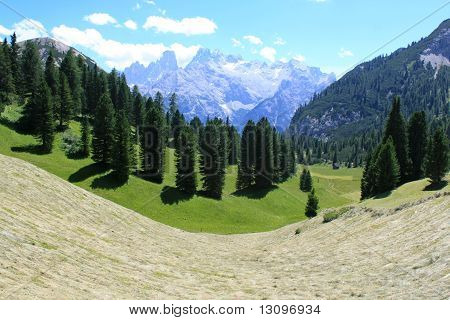 montagne e pascoli alpini