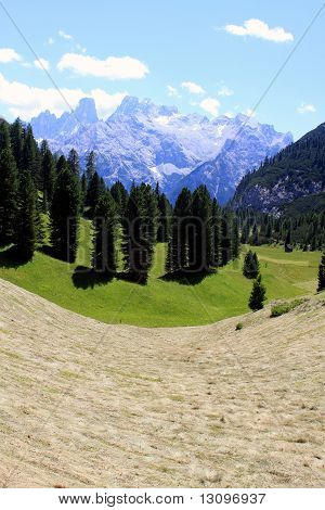 montagne e pascoli alpini