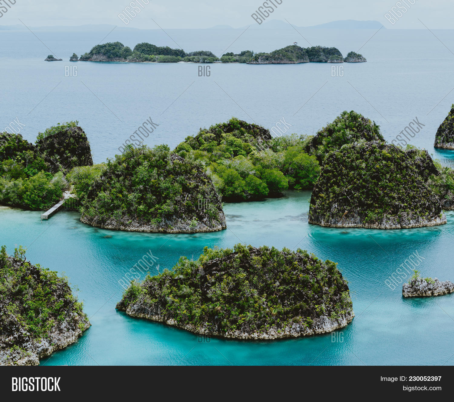 Painemo Painemo, Group Small Image & Photo (Free Trial) | Bigstock