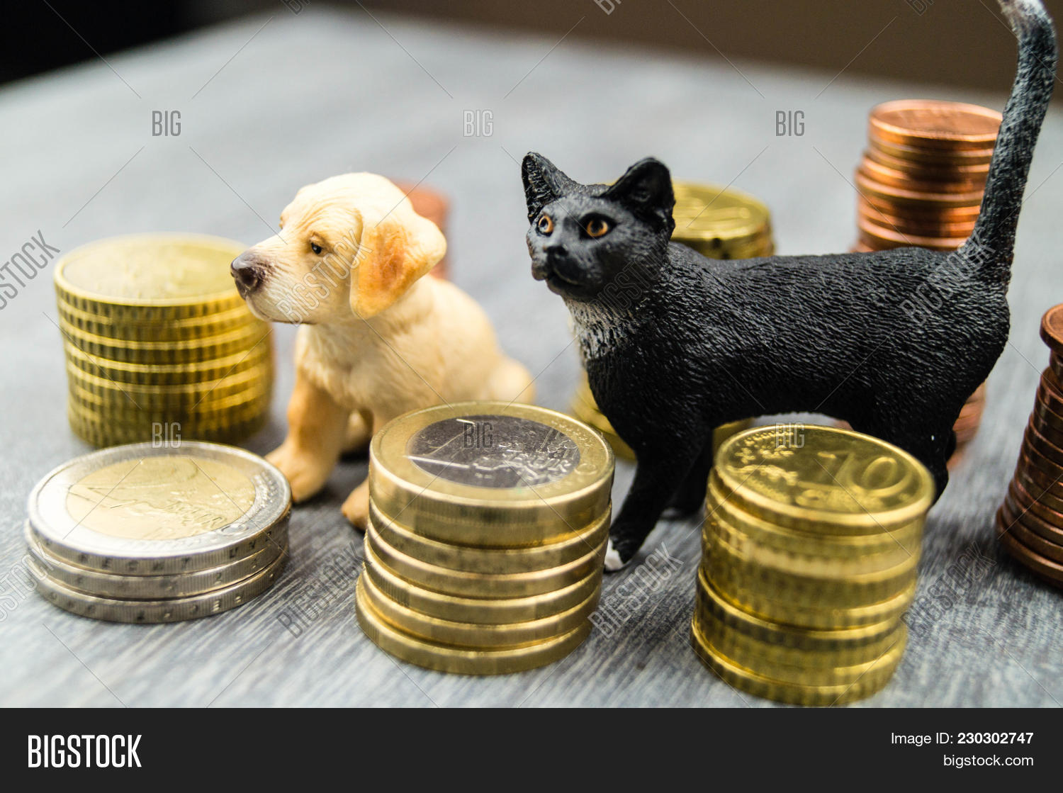 Costs Pet Veterinarian Image & Photo (Free Trial) Bigstock