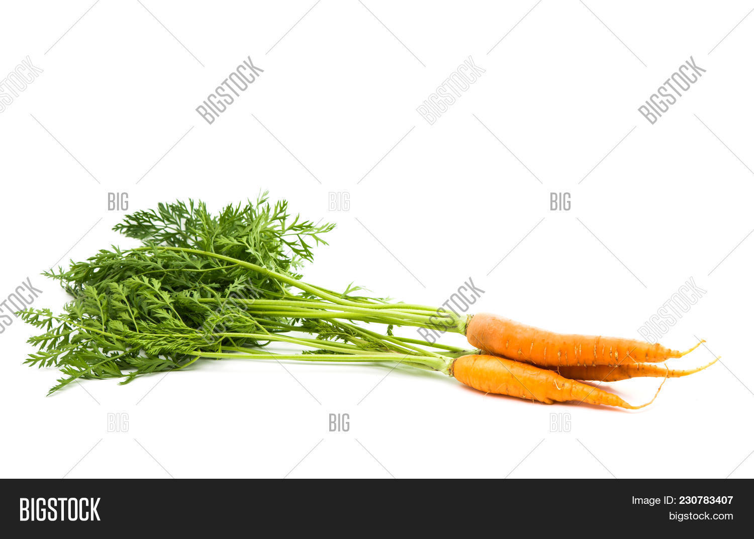 Carrots Leaves Image & Photo (Free Trial) Bigstock