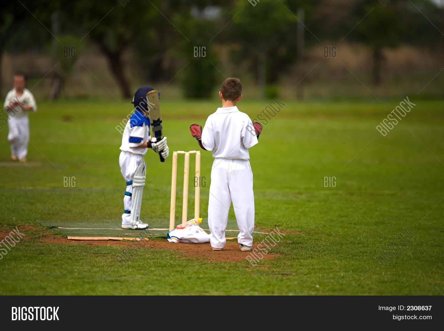 Boys Cricket Image & Photo (Free Trial) Bigstock