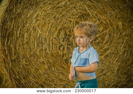 Agritourism, Eco Tourism, Vacation, Travelling. Agritourism, Summer On Farm, Harvest Season.