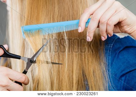 Cutting Down And Shearing Concept. Blonde Woman Cuts And Combing Her Straight Smoothy Fair Hair. Pro