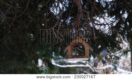 The Bird Titmouse Flew Into The Feeding Trough Behind The Food And Flew Away, Slow Motion