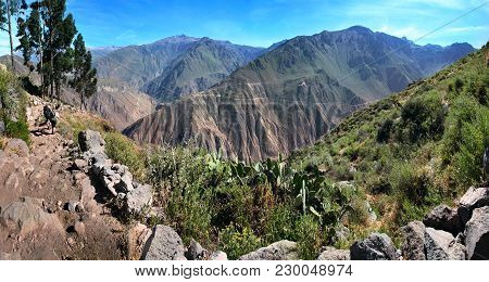 The Colca Canyon Near Cabanaconde, Arequipa Department In Southern Peru