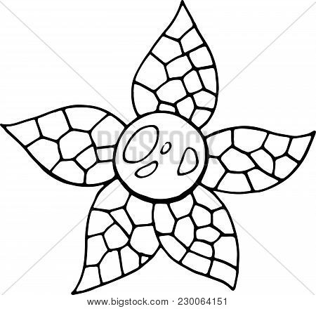 Uchuva Coloring Page. Line Art For Coloring Book For Adults. Tropical And Exotic Food Vector Illustr