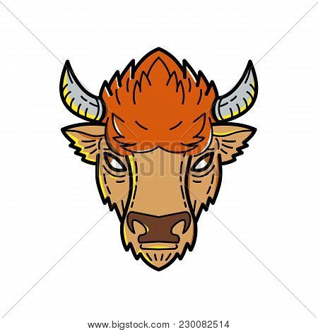 Mono Line Illustration Of Head Of European Bison, Bison Bonasus, Wisent Or The European Wood Bison, 