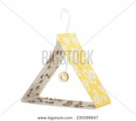Isolated Chemical Bug Trap On White Background With Captured Moths