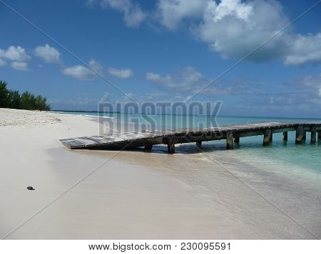 Isla Pasion - Beautiful Palm Tree Beach In The Nature Reserve Passion Island Next To Cozumel Mexico