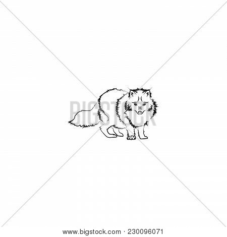 Arctic Fox Vector Black On White Background