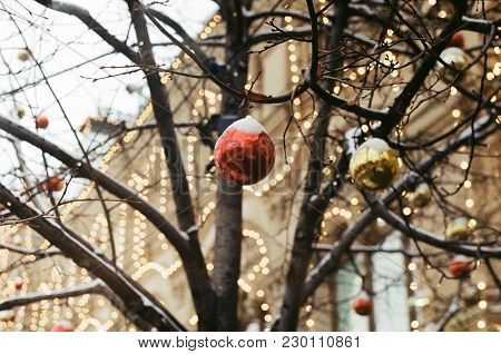 Red Christmas Toy On A Tree In Front Of Gum