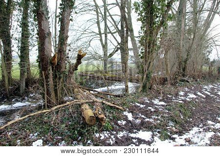 View Of A Rural Landscape In Winter
