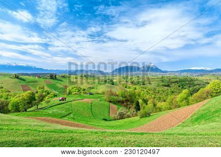 Spring Landscape