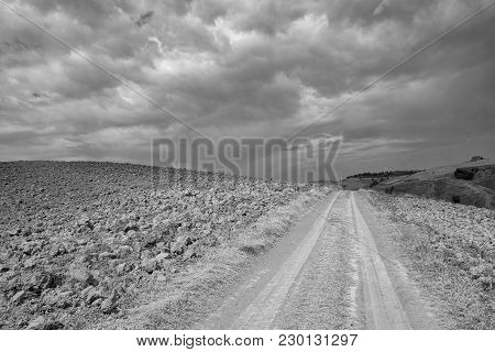Country Landscape Along The Road From Asciano To Torre A Castello, Siena, Tuscany, Italy, At Summer.