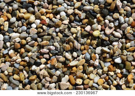Beach Detail - Colorful Wet Beach Pebbels