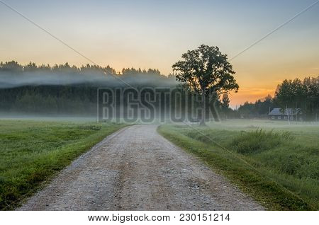 Countryside Road At The Early Morning In Gauja National Nature Park, Vidzeme District, Latvia. Conce