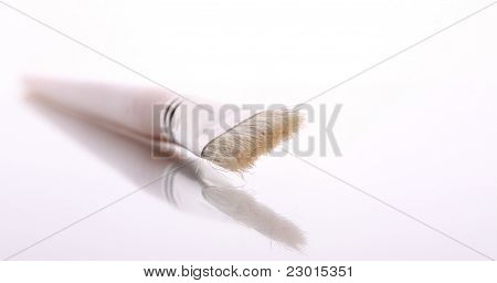 Paintbrush