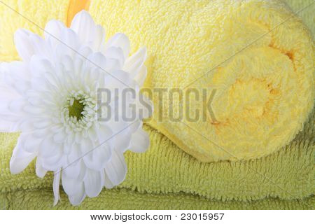 Flower And Towels