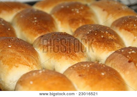 Newly-baked Pies