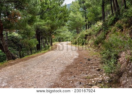 Ataviros Mount Landscape And Road. Rhodes Island, Greece. Dodekanes