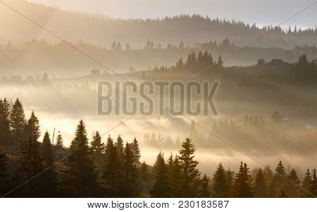 First  Sunrise Rays Of Sun And Shadows Through Fog And Trees On Slopes. Morning Autumn Carpathian Mo