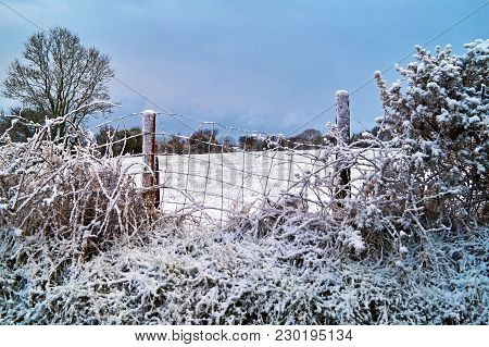 Frozen Winter Field Covered In Light Snow.