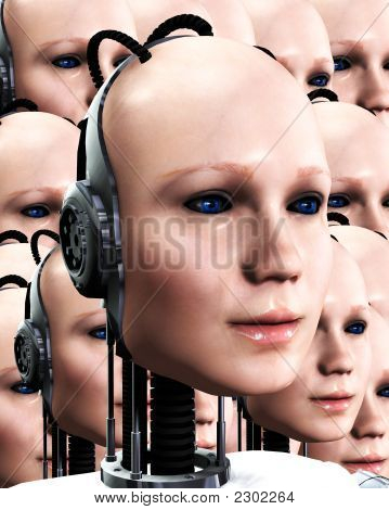 Molte donne di Robo