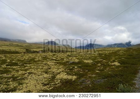 Beautiful Landscape In Norway National Park Rondane