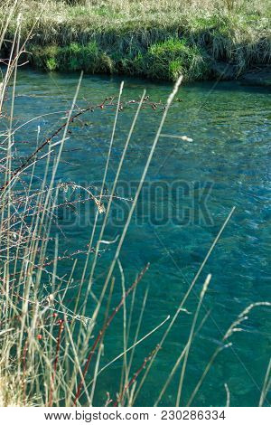 Golden Reedy Grass In Front Teal Blue River
