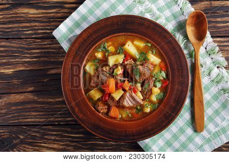 Hungarian Goulash Or Bograch In A Bowl