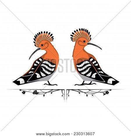 Vector Image Of Two Orange Hoopoes And Floral Decor