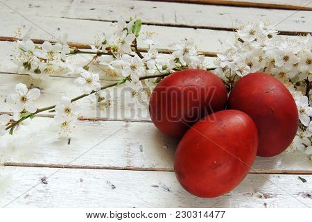 Easter Eggs And Cherry Twigs
