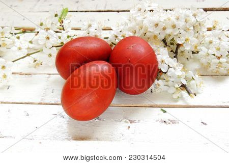 Easter Eggs And Cherry Twigs