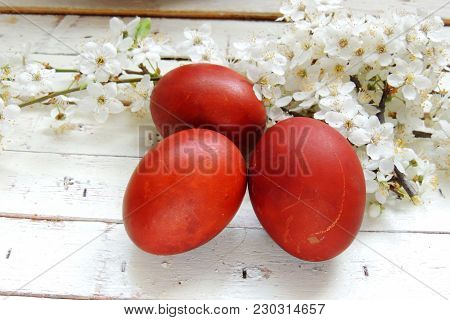 Easter Eggs And Cherry Twigs