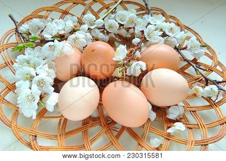 Easter Eggs And Cherry Twigs