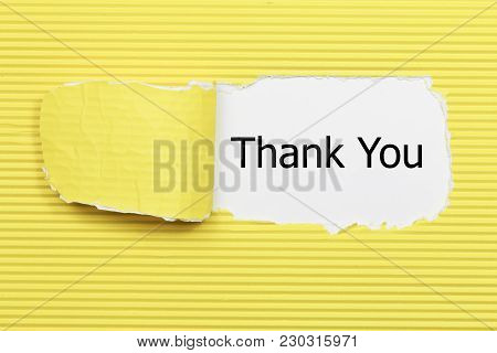 Thank You Word Written Under Torn Paper
