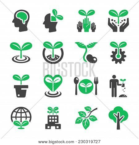 Plant And Ecology Icon Set Vector Illustration