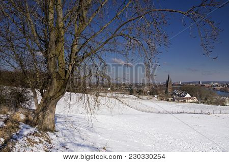 View Of St. Peter