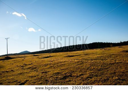 Golden Meadow On The Top Of Mountain Vlasic