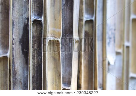 Fence From Bamboo Trunks For Perimeter Fencing