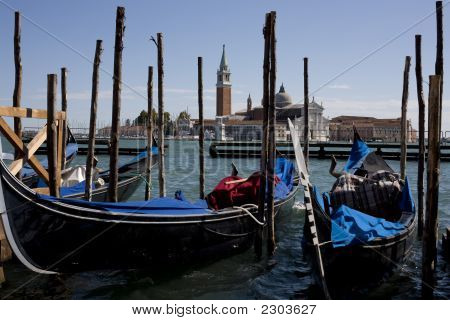 _Mg_2488