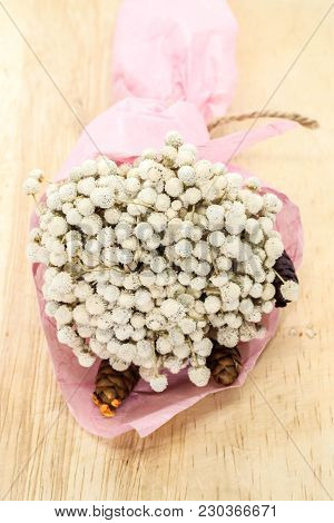 Closeup Of Bouquet Dried White Eriocaulon Henryanum Ruhle On Brown Wooden