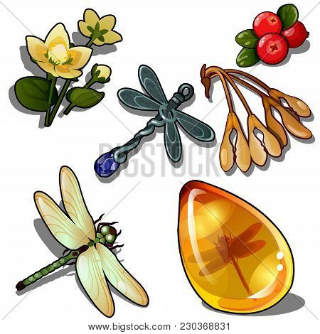 Insects In Amber. The Berries And Flowers Vector Illustration.