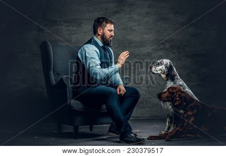 Portrait Of Stylish Bearded Male Sits On A Chair And His Two Irish Setter Dogs.