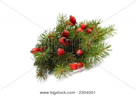 Rot-grüne Weihnachten Arragement