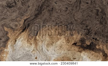 Texture Of Roots Of Tree With Wavy Lines And Age Rings. Abstract Background.