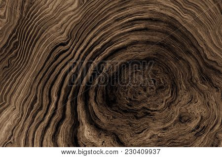 Texture Of Roots Of Tree With Wavy Lines And Age Rings. Abstract Background.