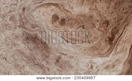 Texture Of Roots Of Tree With Wavy Lines And Age Rings. Abstract Background.